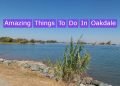 Amazing Things To Do In Oakdale