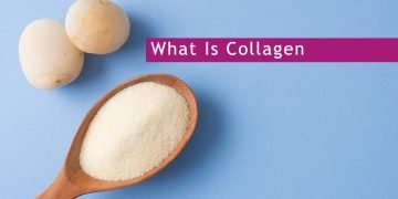 What Is Collagen? Health Benefits, Food Sources, Supplements, Types, and More