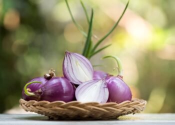 How to Use Onion Shampoo for Hair Growth