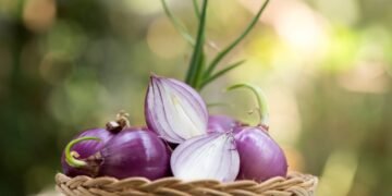 How to Use Onion Shampoo for Hair Growth
