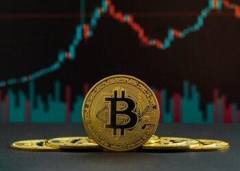 Bitcoin Halving: A Beginner’s Guide For Crypto Enthusiasts