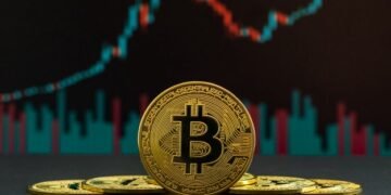 Bitcoin Halving: A Beginner’s Guide For Crypto Enthusiasts