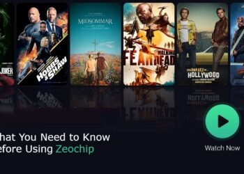 What You Need to Know Before Using Zoechip
