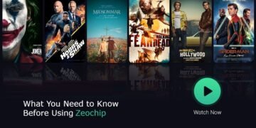 What You Need to Know Before Using Zoechip