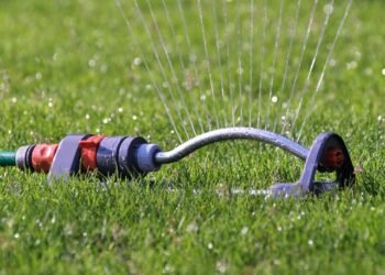 How Long Should You Water Your Lawn?