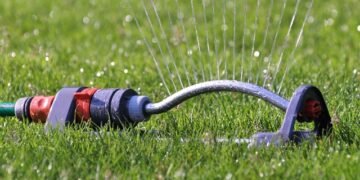 How Long Should You Water Your Lawn?