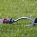 How Long Should You Water Your Lawn?