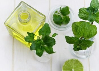 7 Peppermint Oil Benefits You May Not Know