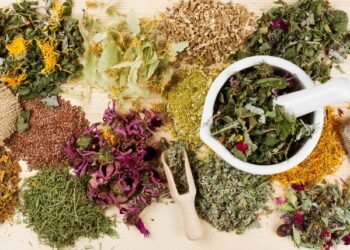 Top 5 Herbs That Help with Respiratory Problems