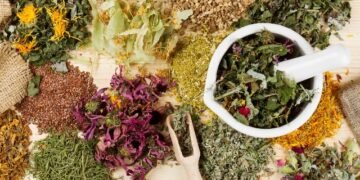 Top 5 Herbs That Help with Respiratory Problems