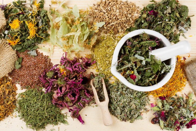 Top 5 Herbs That Help With Respiratory Problems