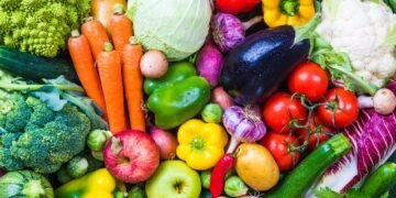 What’s the Main Difference Between Vegetarian and Vegan Diets?