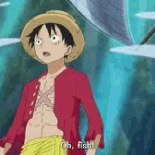 Luffy PFP: Best 10 Luffy Profile Pictures