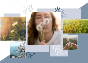 Amazing Benefits of Using a Collage Maker App