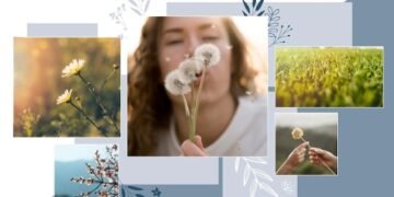 Amazing Benefits of Using a Collage Maker App