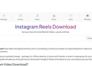 Instagram video downloader interface for downloading Reels from instadoz.com.