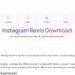 Instagram video downloader interface for downloading Reels from instadoz.com.