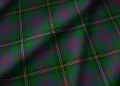 Dark green tartan plaid fabric with intersecting red, yellow, and thin white stripes; the classic check pattern feels bold and traditional.